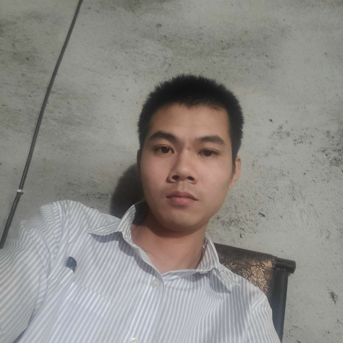 Qp的照片