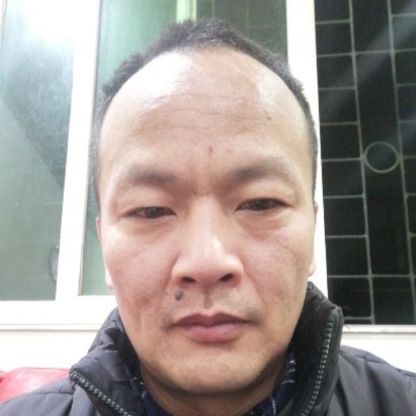 欢呼踢黄蜂的照片