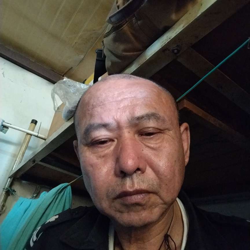 树叶蹙眉聪明的照片