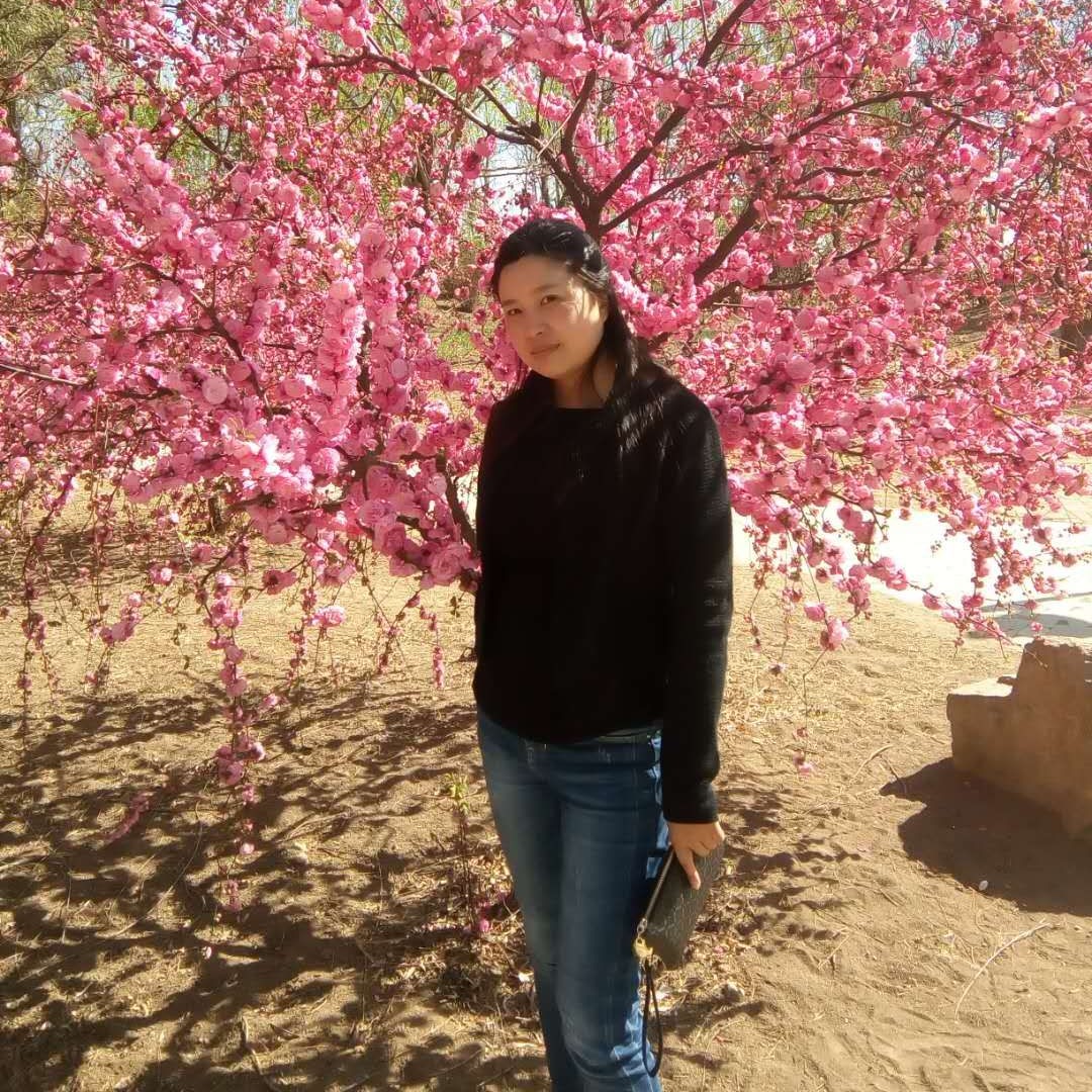 请记忆归零的照片