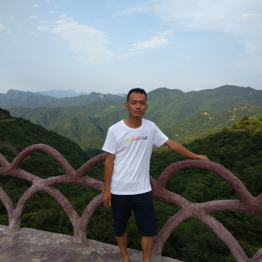 现代大米的照片