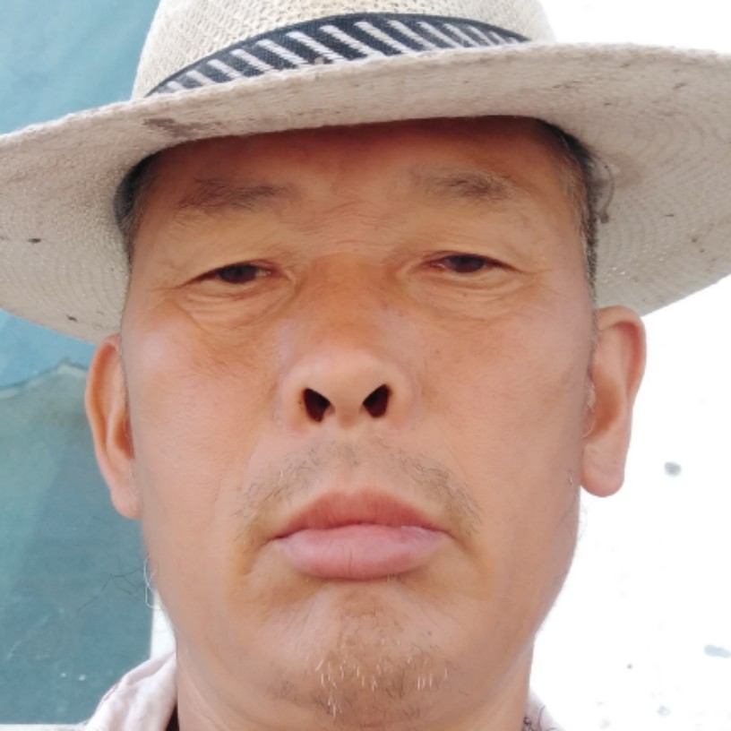 火星上挽手狗的照片