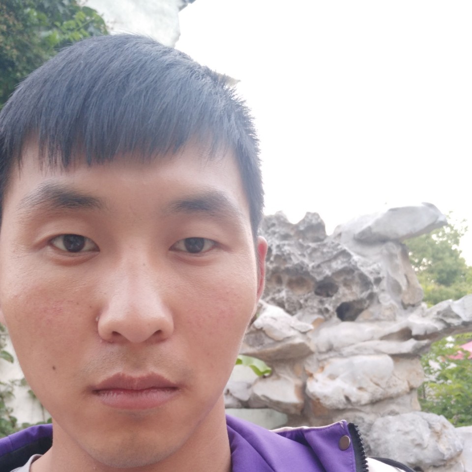 诚心苦恋森槿的照片