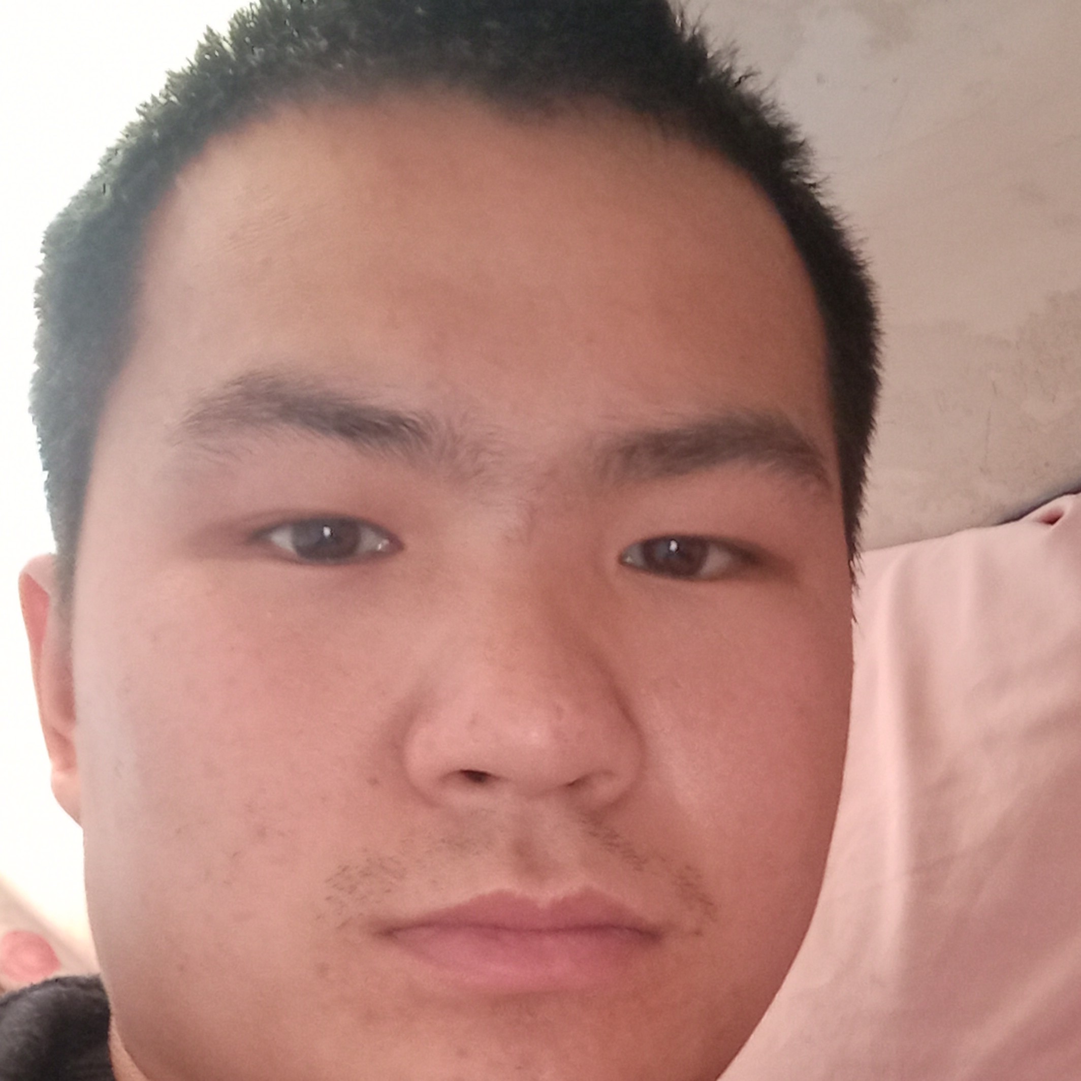 酸奶蹁跹正直的照片