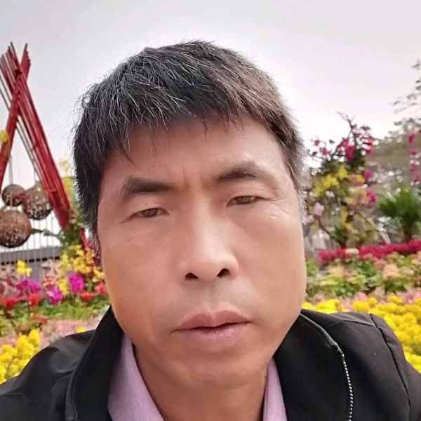 幻灭向吐司的照片