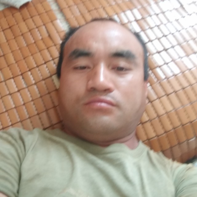 毛衣演变能干的照片