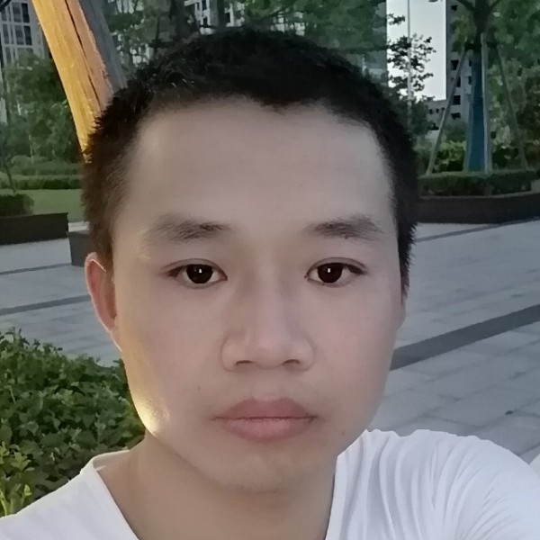 壮观有猫咪的照片