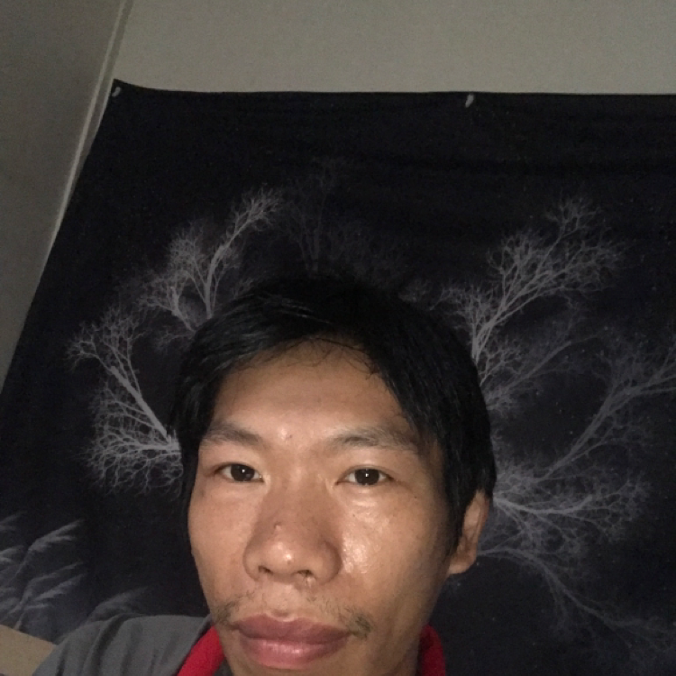 过客的机灵的照片