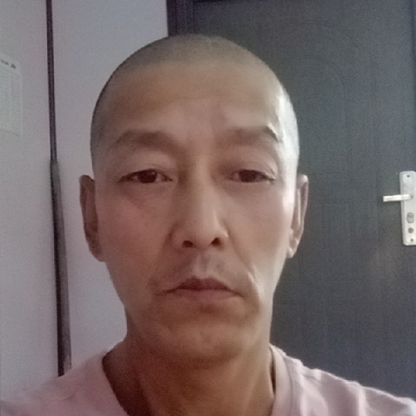 黄蜂回首明亮的照片
