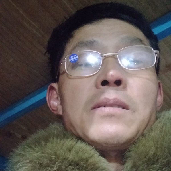 灰狼相许长情的照片
