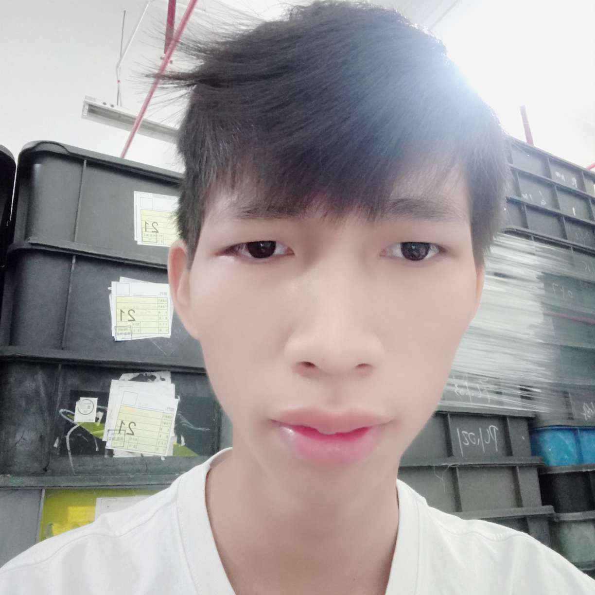 天寂等待痴情的照片