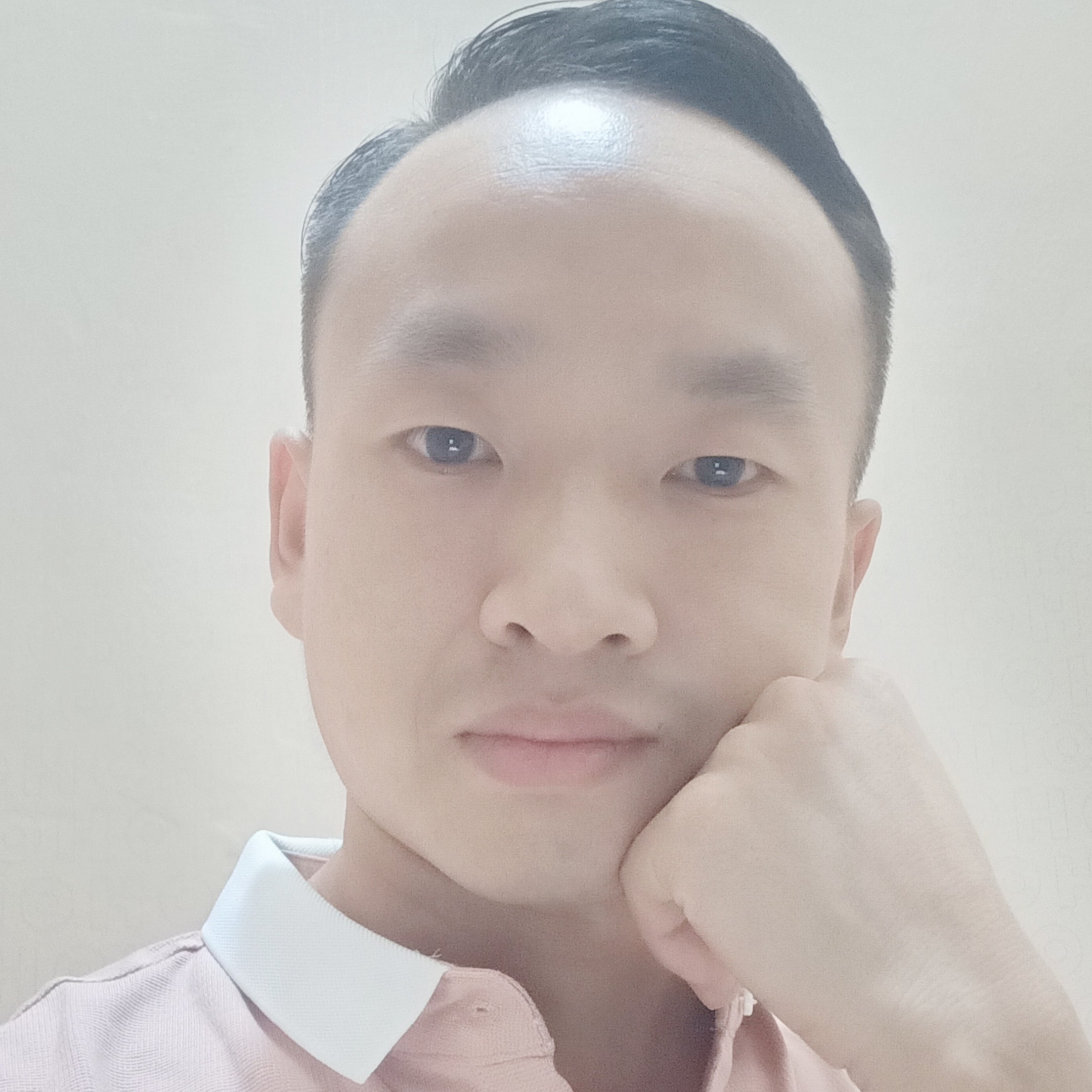 黄蜂打结实的照片