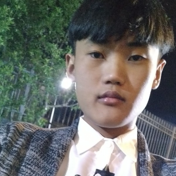 灰狼漫步悲凉的照片