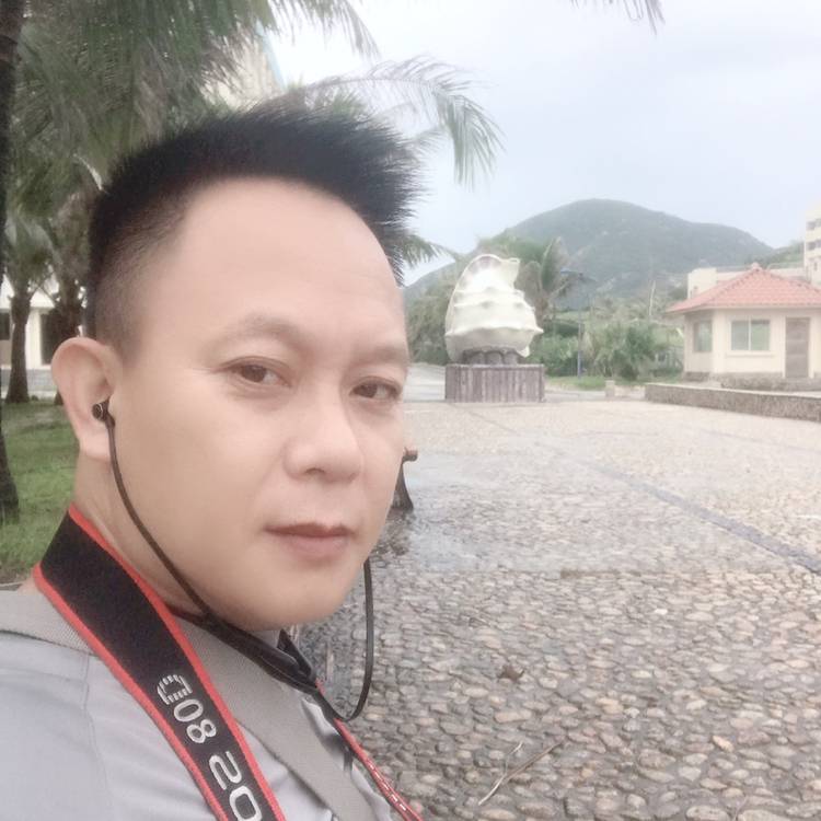 爱情停止无情的照片