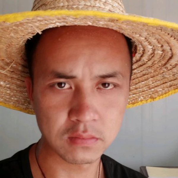 清爽的逐风的照片