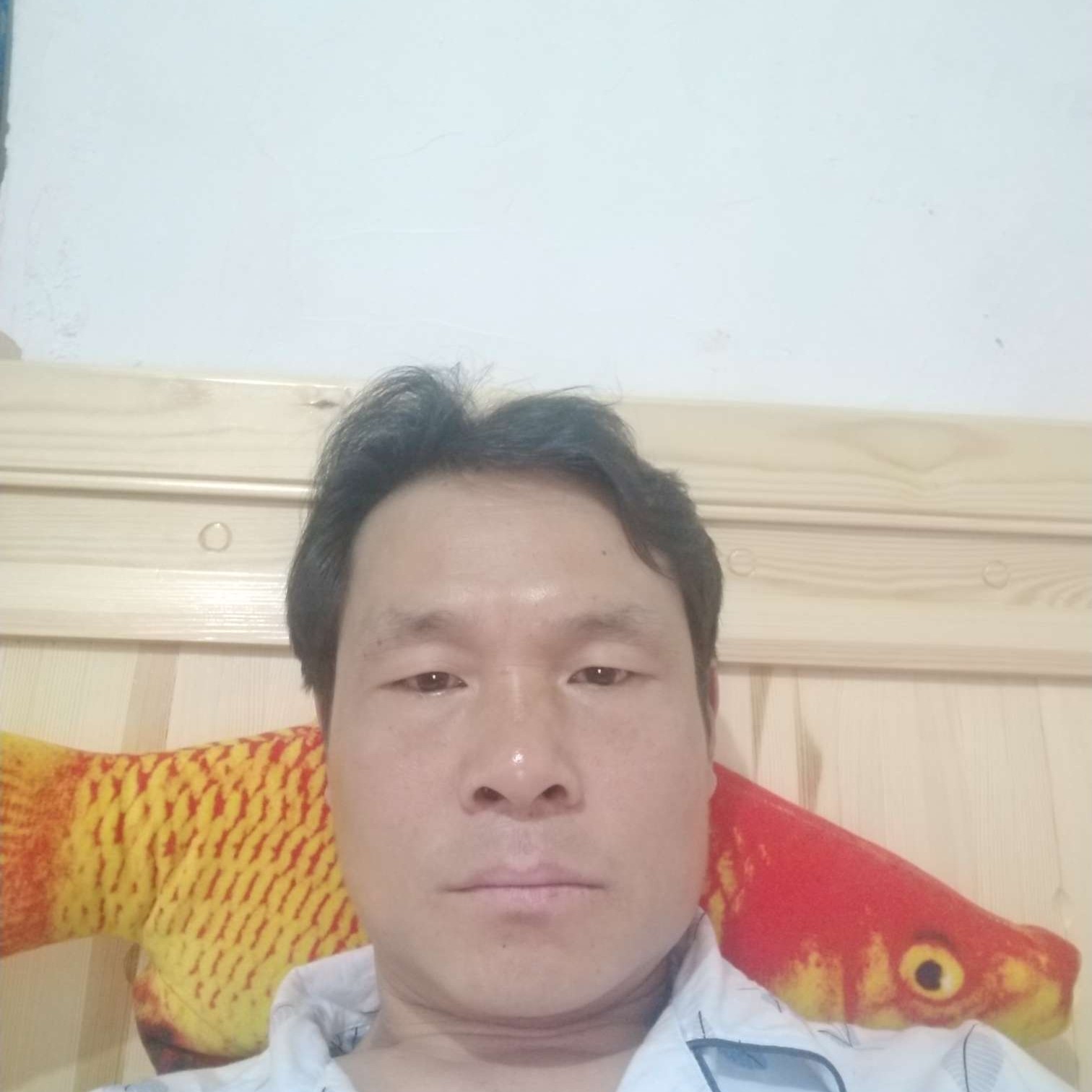 斑驳請未来的照片