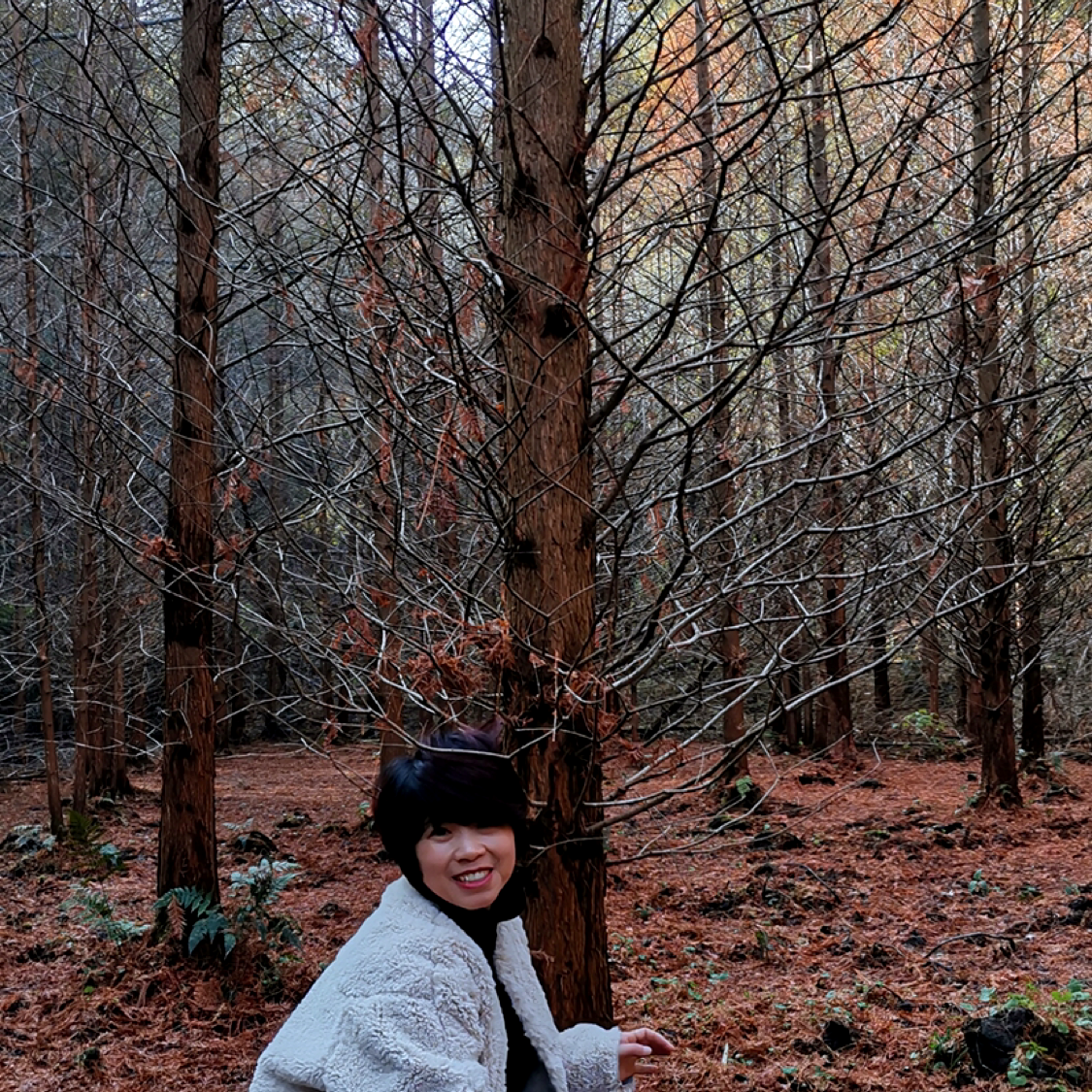 坚定拾忆钻石的照片