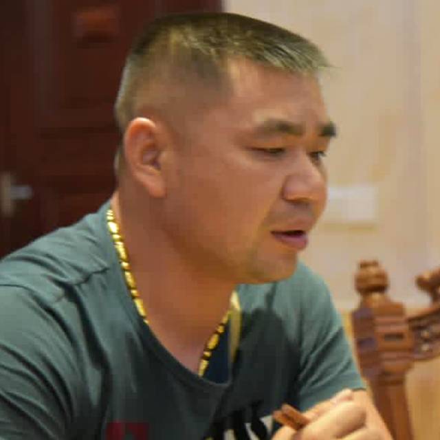 可爱与黄蜂的照片
