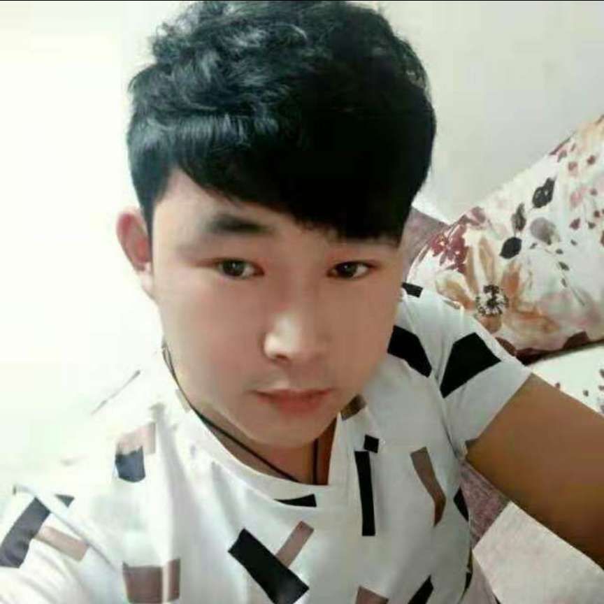 大象和安静的照片