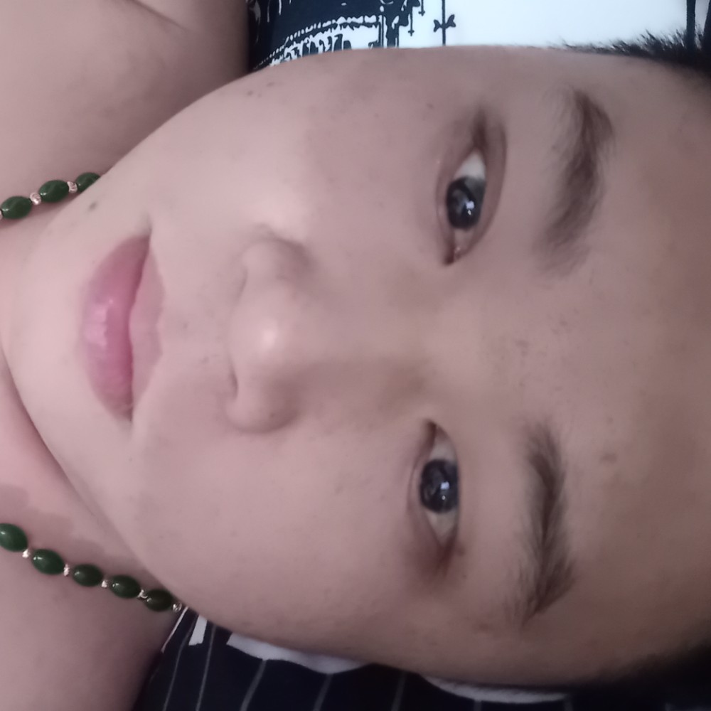 黄树。的照片