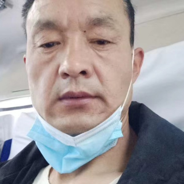 红牛烂漫的照片