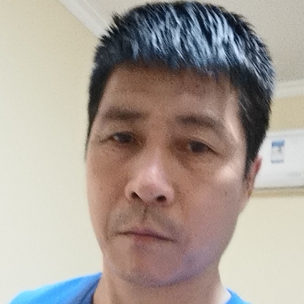 虚心倾心鸵鸟的照片