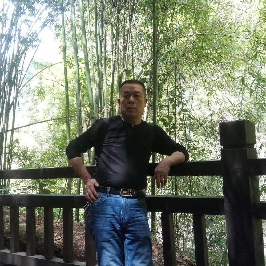 怕小松鼠飞龙的照片