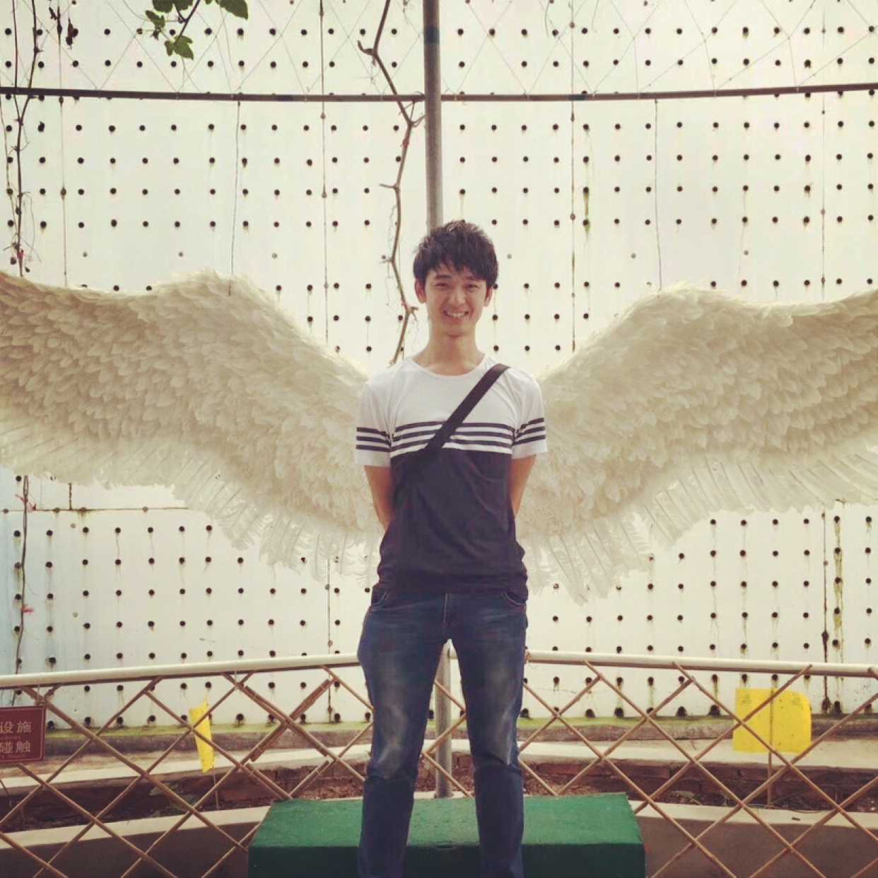 懵懂拾忆小熊猫的照片