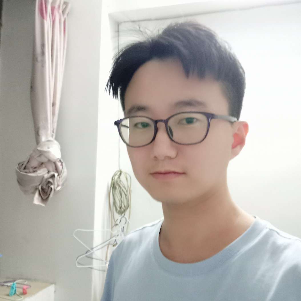 蚂蚁浅吻开朗的照片