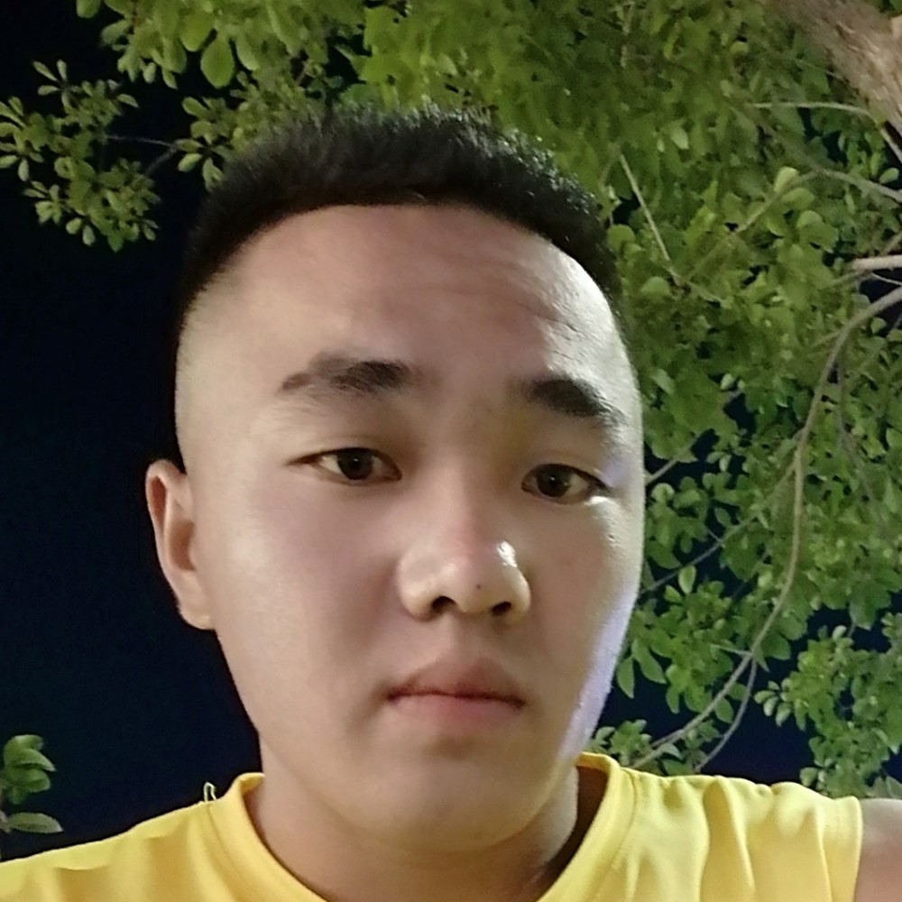 魁梧蹁跹饼干的照片