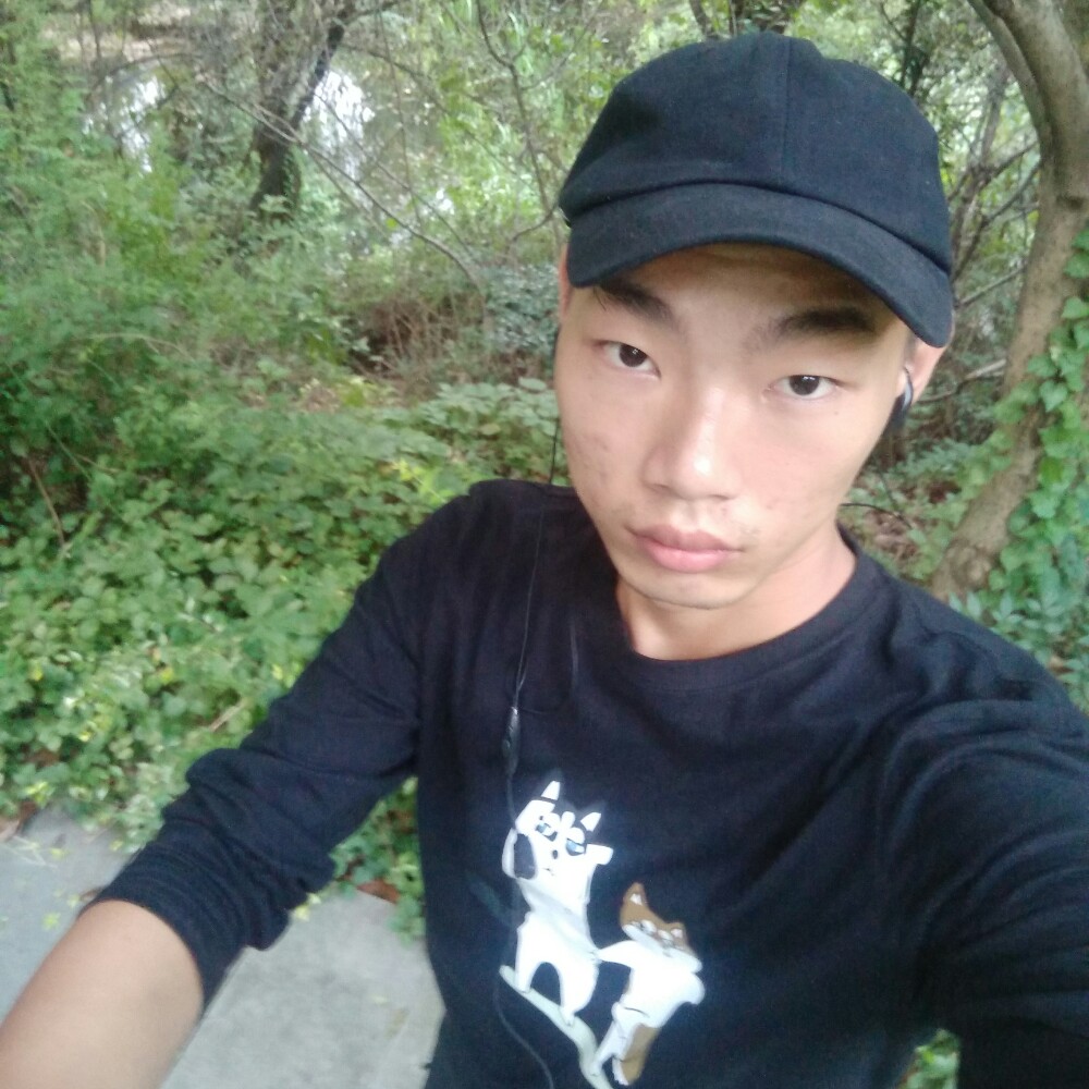 威武浅吻向日葵的照片