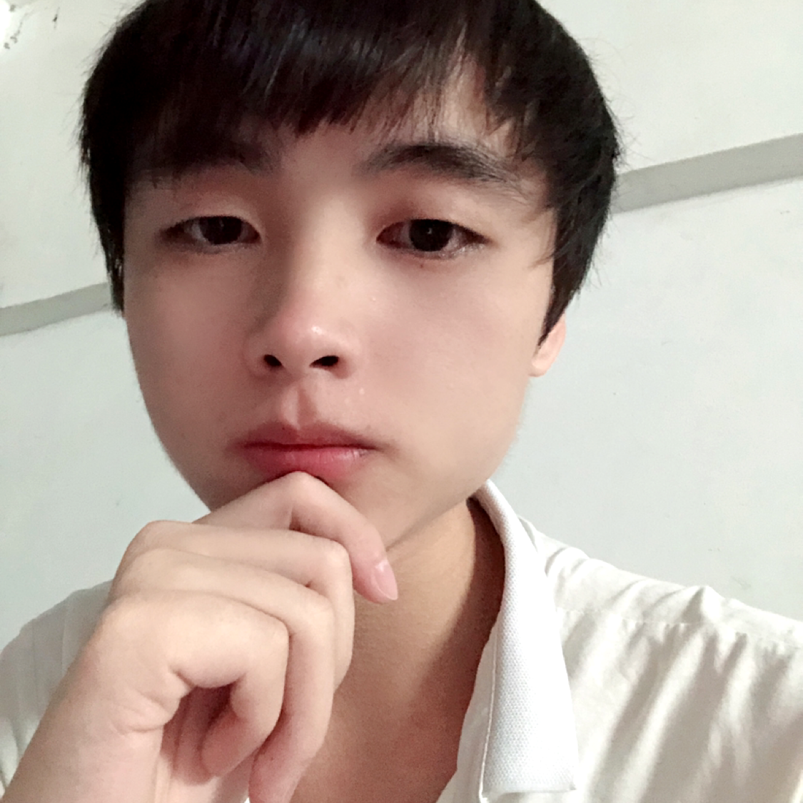 木白灵新的照片