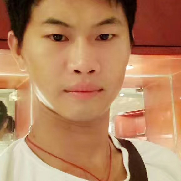忧伤踢小海豚的照片