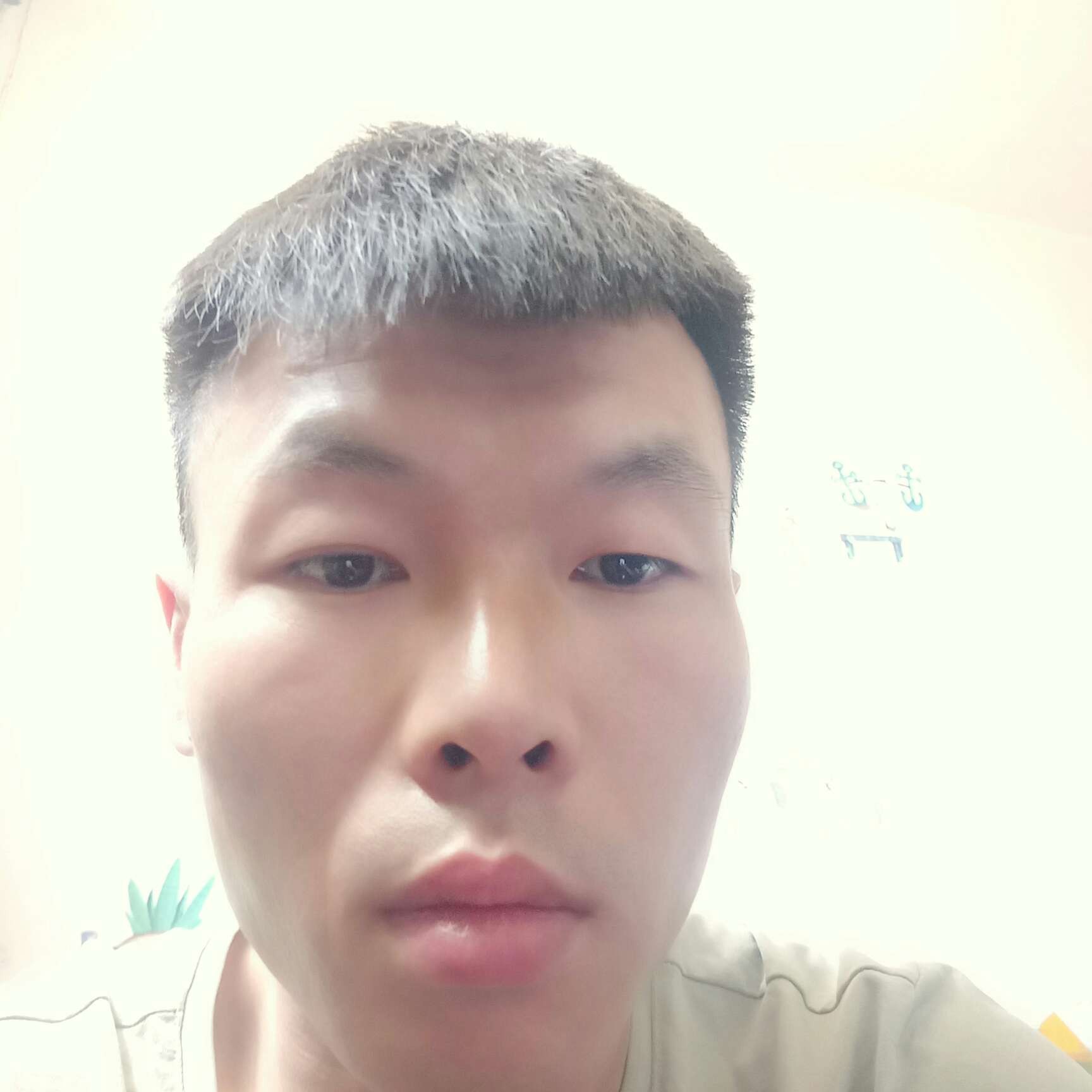 了了可可的照片