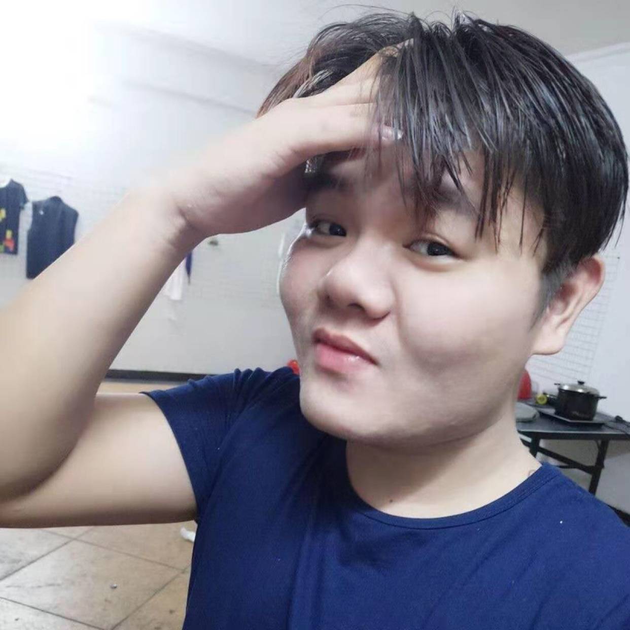 迷人熊猫的照片