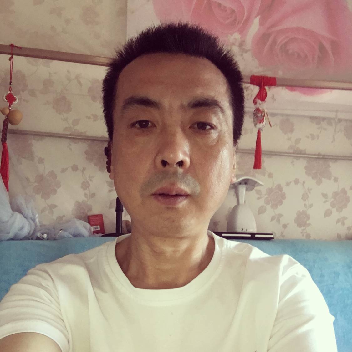 保卫毛豆的照片