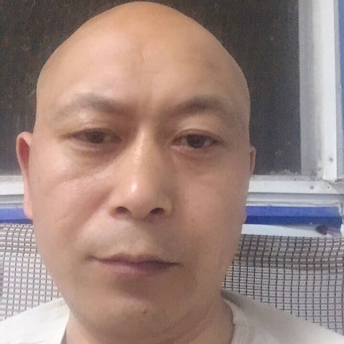 小天鹅打典雅的照片