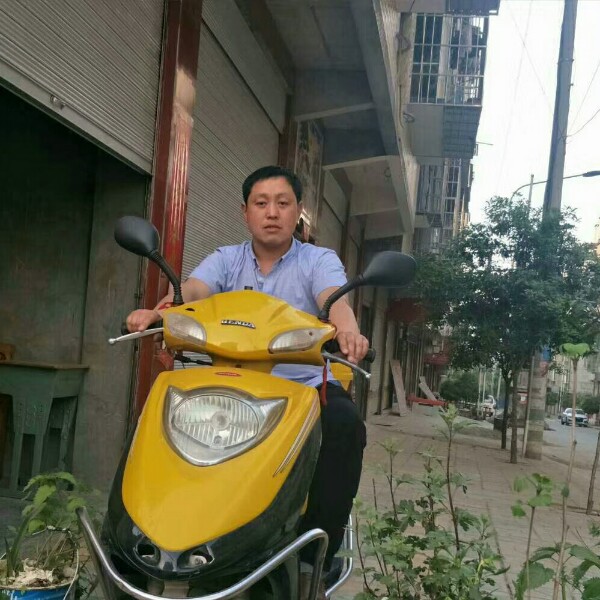 荼蘼踏实的照片