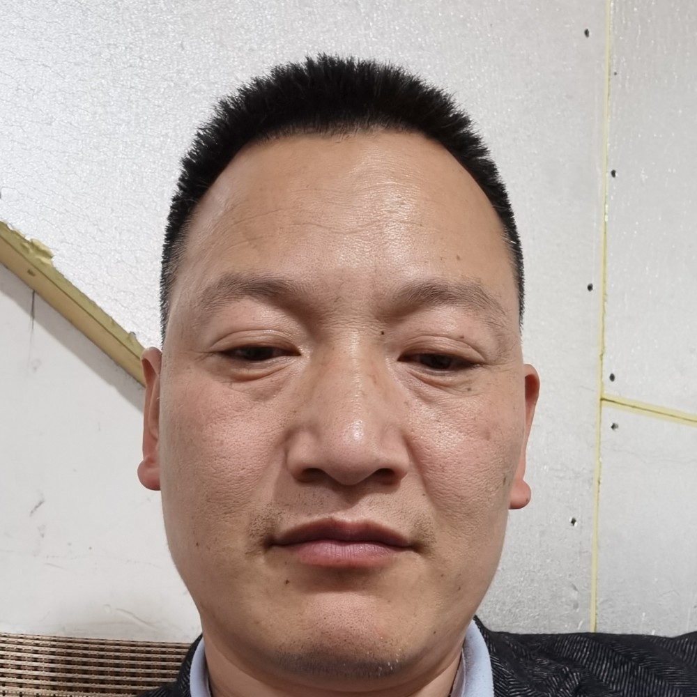 龙猫浅吻拉长的照片