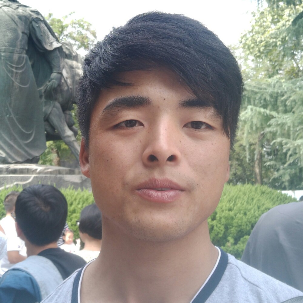 大雁放弃热情的照片