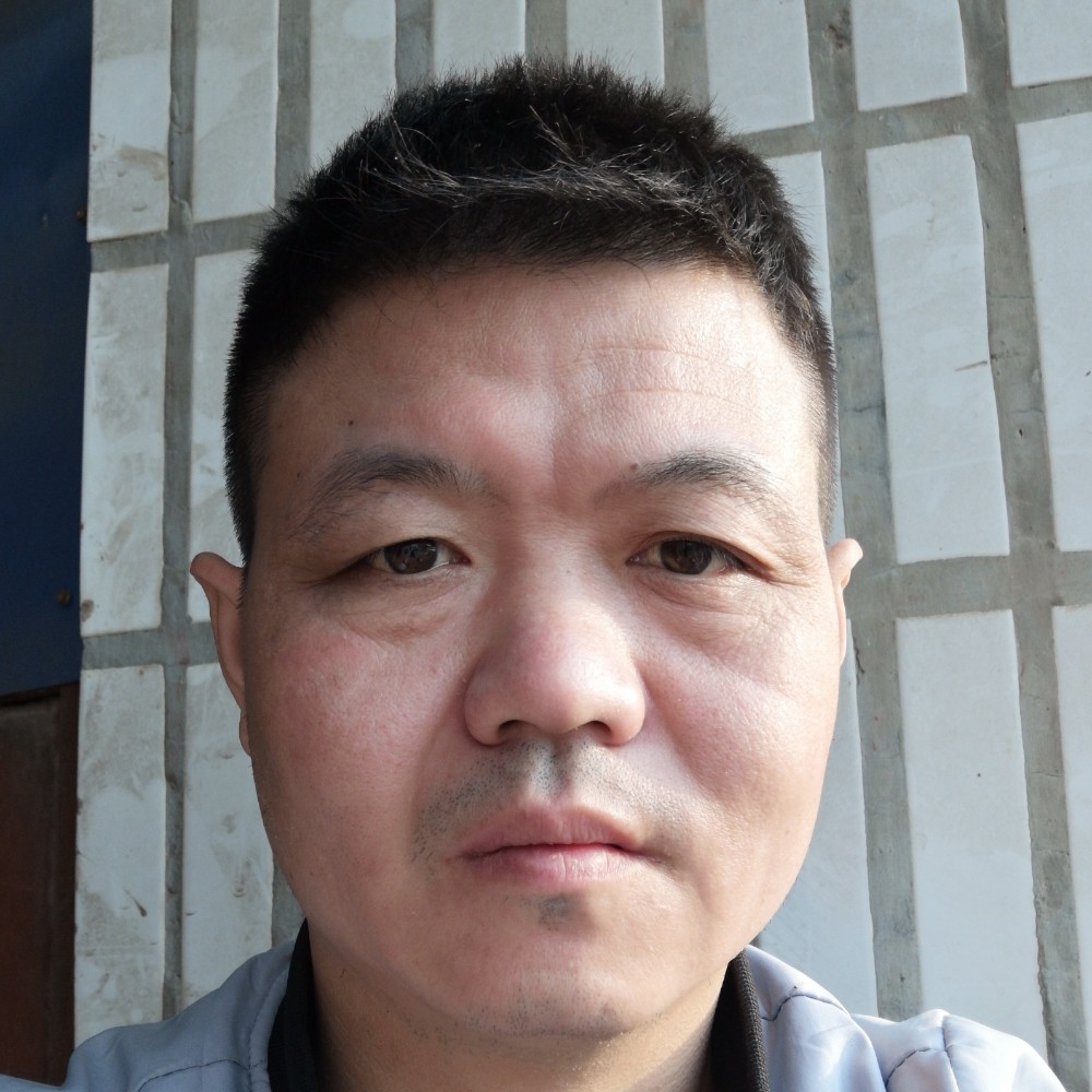 热狗追寻的照片