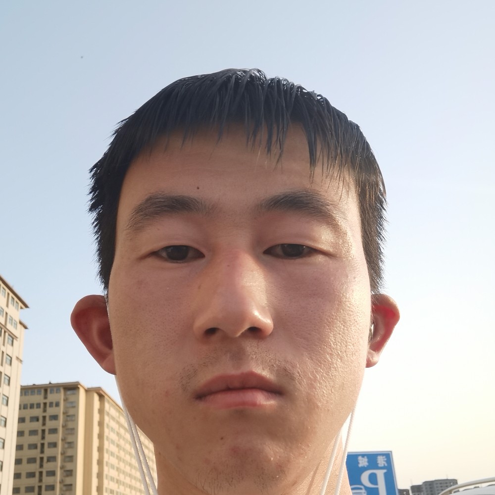 仙人掌浅吻愉快的照片