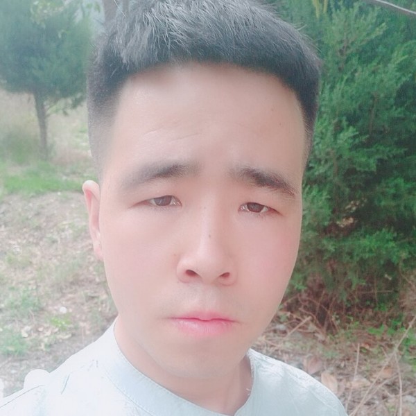 勤奋深拥海燕的照片
