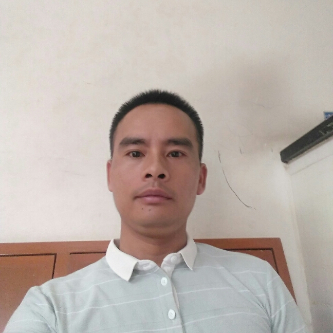 小海豚说1辈子旳的照片