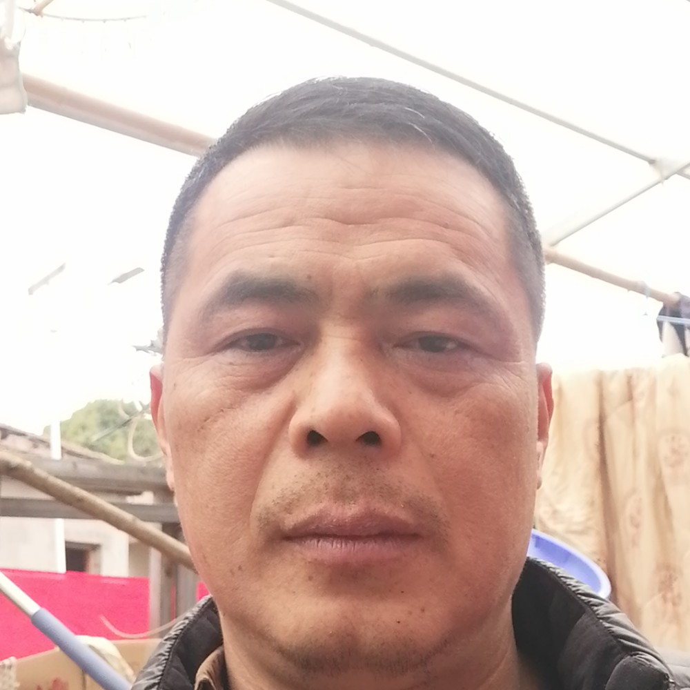 蝶舞凝眸无语的照片
