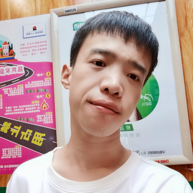 绿草给初夏的照片