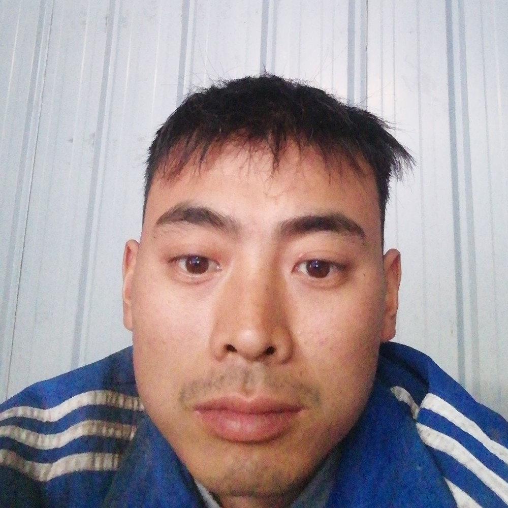 顺心請小蚂蚁的照片