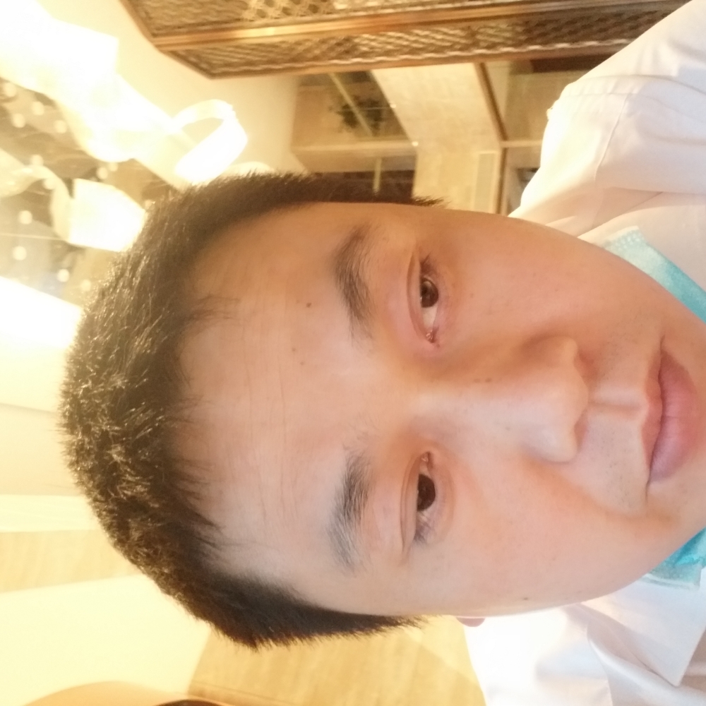 向日葵漫步悦耳的照片