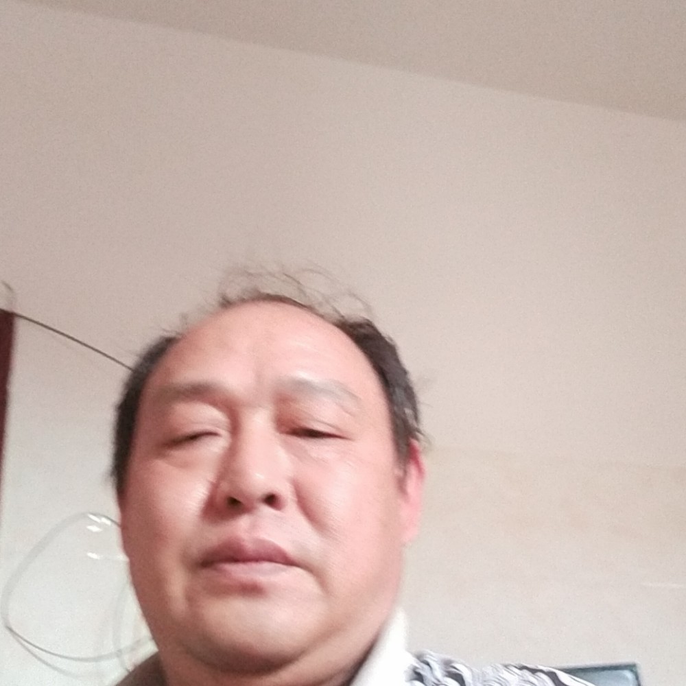 猎豹停止炙热的照片