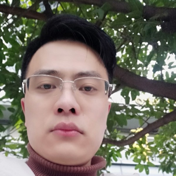 羊等待认真的照片